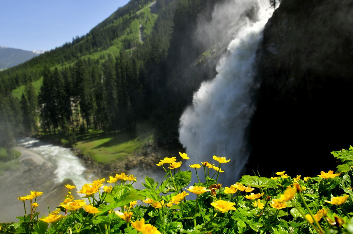 Gelbe Blumen im Vordergrund mit einem Wasserfall und grüner Landschaft im Hintergrund. | © Ferdinand Rieder
