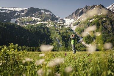 Ranger mit Fernglas steht auf einer Blumenwiese vor schneebedeckten Bergen und Wasserfällen. | © Ferienregion Nationalpark Hohe Tauern - Max Draeger