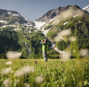 Ranger mit Fernglas steht auf einer Blumenwiese vor schneebedeckten Bergen und Wasserfällen. | © Ferienregion Nationalpark Hohe Tauern - Max Draeger