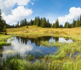 Kleiner Bergsee mit Spiegelung von Wolken, umgeben von Wiesen und Nadelwald | © TVB BRUCK FUSCH | GROSSGLOCKNER