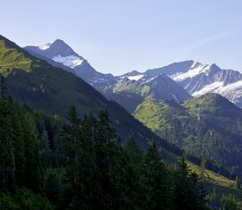 Berglandschaft im Stubachtal bei Uttendorf mit bewaldeten Hängen und schneebedeckten Gipfeln | © Ferienregion Nationalpark Hohe Tauern - Michael Huber