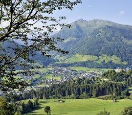 Blick auf Ort im Tal mit Wiesen, Wäldern und Bergen, eingerahmt von Baumzweigen | © Mittersill Plus Tourismus - Michael Huber