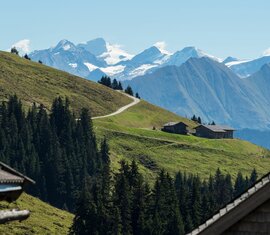 Almhütten auf grünen Hängen mit Bergweg und schneebedeckten Gipfeln im Hintergrund | © Wildkogel-Arena Neukirchen & Bramberg