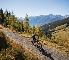Mountainbiker fährt talwärts auf Schotterweg mit Bergpanorama und herbstlicher Landschaft | © Salzburger Land - Heiko Mandl