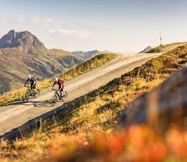 Zwei Mountainbiker fahren talwärts auf einem Bergweg mit Gipfel im Hintergrund | © Wildkogel-Arena Neukirchen & Bramberg