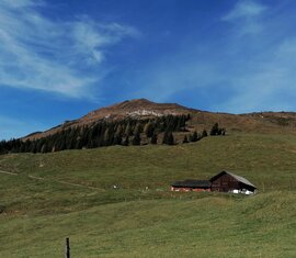 Almhütte auf grüner Bergwiese unterhalb eines Gipfels mit vereinzelten Bäumen | © Tourismusverband Wald-Königsleiten