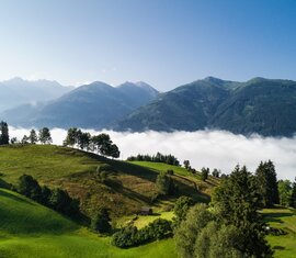 Grüne Hügel unter klarem Himmel, mit Nebel in einem Tal und Bergen im Hintergrund. | © Ferienregion Nationalpark Hohe Tauern - David Innerhofer