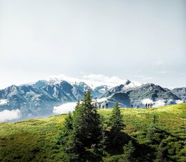 Hikers on a green mountain meadow with snowy peaks and blue sky in the background. | © Harry Liebmann