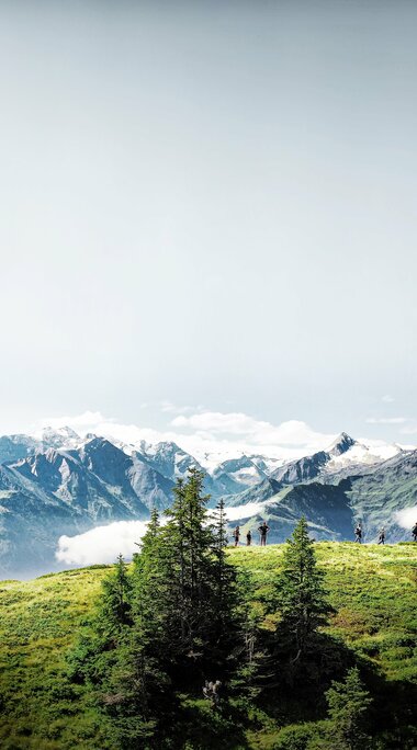 Hikers on a green mountain meadow with snowy peaks and blue sky in the background. | © Harry Liebmann