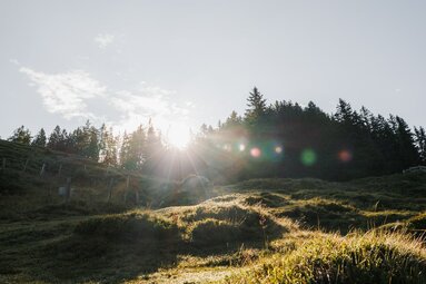 Morgensonne über Almwiese im Nationalpark Hohe Tauern. | © Ferienregion Nationalpark Hohe Tauern, Lucas Vollmann_Noah Ulrich