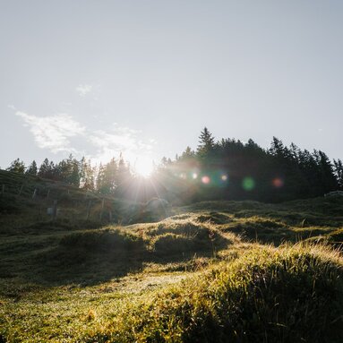 Morning sun above alpine meadow in the National Park Hohe Tauern. | © Ferienregion Nationalpark Hohe Tauern, Lucas Vollmann_Noah Ulrich