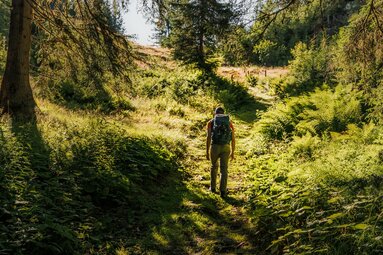 Wanderer mit Rucksack auf grünem Waldpfad im Nationalpark Hohe Tauern. | © Ferienregion Nationalpark Hohe Tauern, Lucas Vollmann_Noah Ulrich