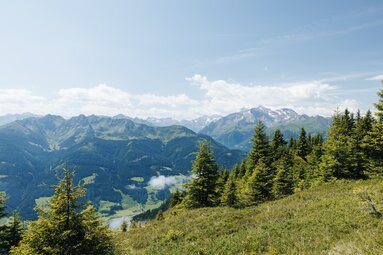Panoramablick auf Berge und Wälder der Hohen Tauern. | © Ferienregion Nationalpark Hohe Tauern, Lucas Vollmann_Noah Ulrich