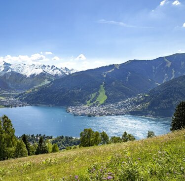 Blick auf einen See, umgeben von Bergen mit Schneegipfeln und einer blühenden Wiese im Vordergrund. | © Zell am See Kaprun Tourismus