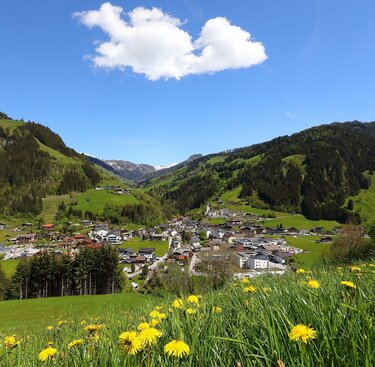 Blick auf Großarl im Salzburger Land mit grünen Almen und Bergen. | © Tourismusverband Grossarltal