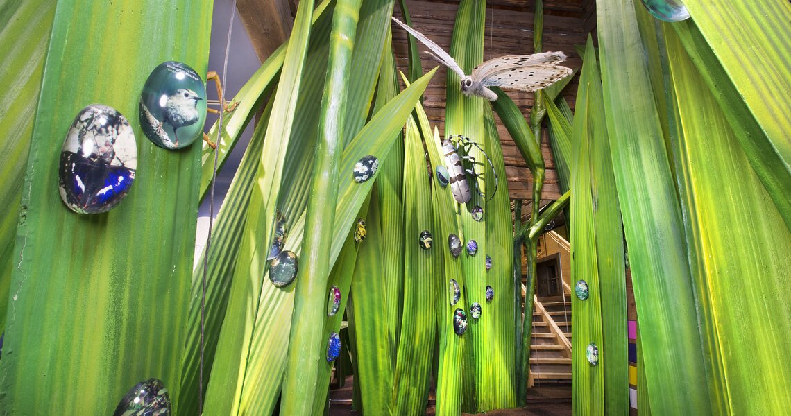 Detailreiche Ausstellung über Flora und Fauna mit überdimensionalen Pflanzen und Insekten. | © Nationalparkausstellung "Auf der Alm - Zwischen Himmel und Erde"