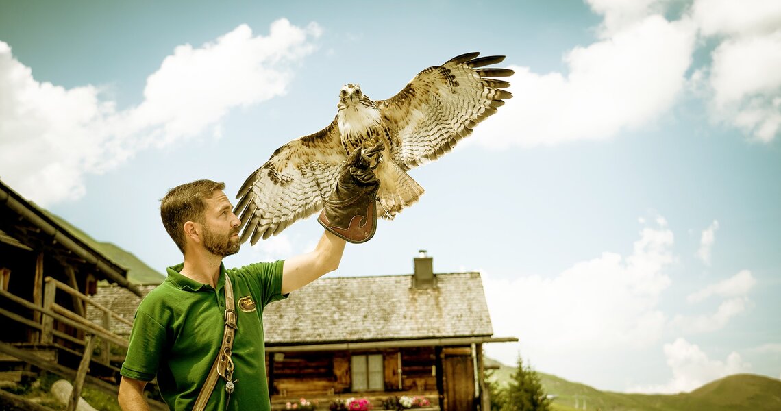 Falkner mit Greifvogel auf einer Berghütte, blauer Himmel im Hintergrund. | © Rauriser Hochalmbahnen AG