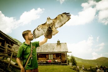 Falkner mit Greifvogel auf einer Berghütte, blauer Himmel im Hintergrund. | © Rauriser Hochalmbahnen AG