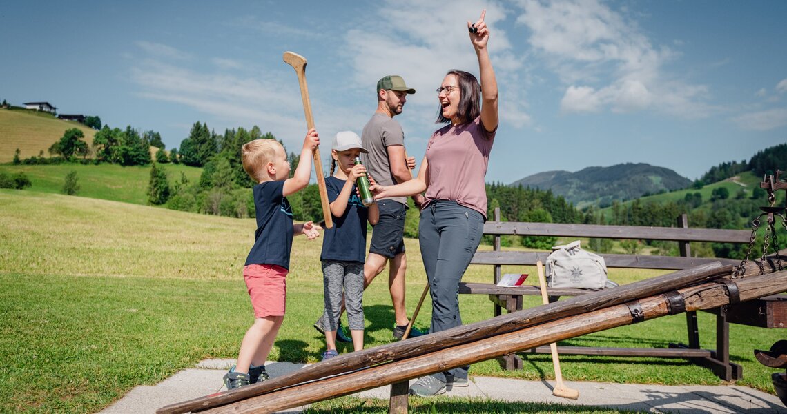 Family play enthusiastically on a wooden ramp amidst a picturesque meadow landscape. | © Sobietzki