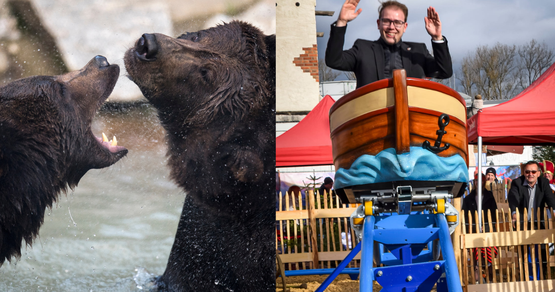 Zwei Bären im Wasser und Mann in Bootkarussell im Wildpark Ferleiten. | © Wildpark Ferleiten
