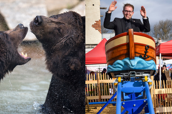 Zwei Bären im Wasser und Mann in Bootkarussell im Wildpark Ferleiten. | © Wildpark Ferleiten