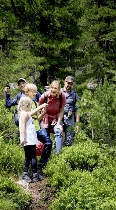 Eine Familie wandert durch einen grünen Zirbenwald mit einem Nationalpark-Ranger im Nationalpark. | © Ferienregion Nationalpark Hohe Tauern - Michael Huber 