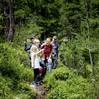 A family hikes through a green pine forest with a National Park ranger in the National Park. | © Ferienregion Nationalpark Hohe Tauern - Michael Huber 