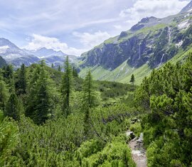 Blick auf das grüne Stubachtal in Uttendorf mit Wasserfällen und Berggipfeln im Hintergrund. | © Ferienregion Nationalpark Hohe Tauern - Michael Huber