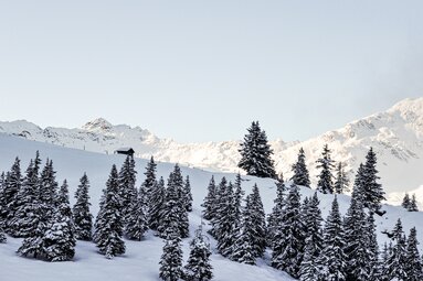  Verschneite Tannen vor einer Berghütte und einer Kulisse aus schneebedeckten Gipfeln bei klarem Himmel. | © Rieder