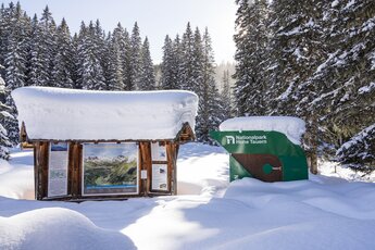 Informationstafel des Nationalparks Hohe Tauern, umgeben von verschneiten Wäldern im Winter. | © Branislav Rohal