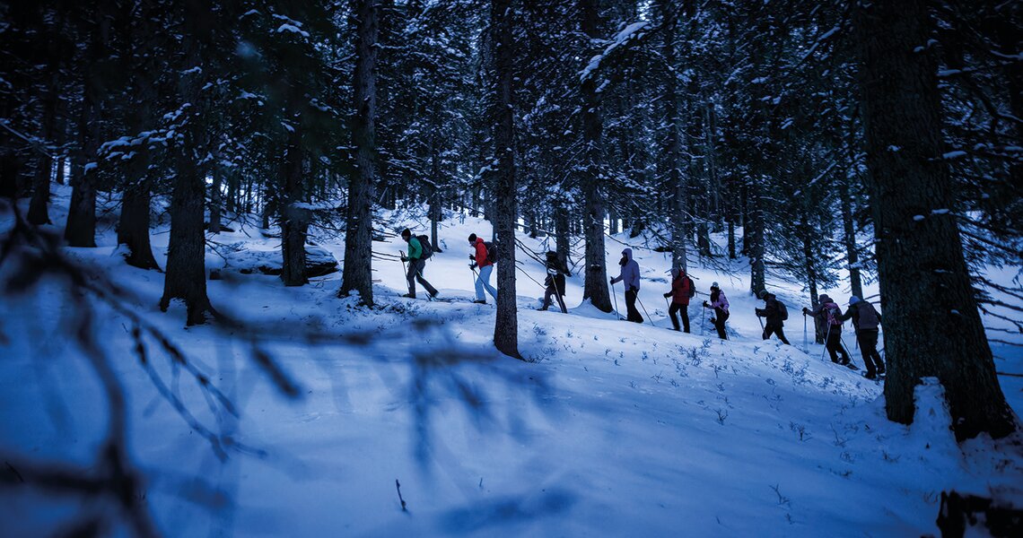 Snowshoe hike through the winter forest in Hohe Tauern National Park | © Nationalpark Hohe Tauern - Florian Kreidl Glück