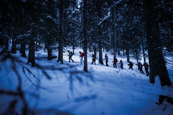 Gruppe wandert mit Schneeschuhen durch verschneiten Wald. | © Nationalpark Hohe Tauern - Florian Kreidl Glück
