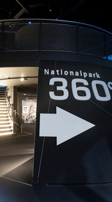 Modernes Nationalpark 360°-Erlebnis mit beleuchteter Treppe und Panorama-Bildschirmen. | © zangl.ultd-Franz Neumayr-Leo