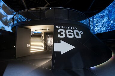 Modernes Nationalpark 360°-Erlebnis mit beleuchteter Treppe und Panorama-Bildschirmen. | © zangl.ultd-Franz Neumayr-Leo