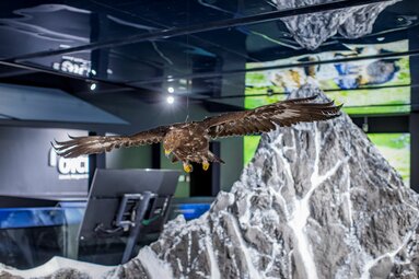 Präparierter Adler mit ausgebreiteten Flügeln schwebt über Modell einer Berglandschaft | © zangl.ultd-Franz Neumayr-Leo