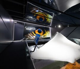 Ausstellung mit Adlerflug-Panorama und Bergmodell in moderner Umgebung. | © Franz Reifmüller