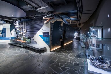 Museumsausstellung mit prähistorischem Meeresreptil und Fossilien in moderner Umgebung. | © zangl.ultd-Franz Neumayr-Leo