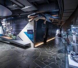 Museumsausstellung mit prähistorischem Meeresreptil und Fossilien in moderner Umgebung. | © zangl.ultd-Franz Neumayr-Leo