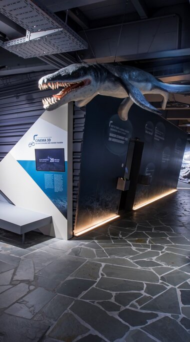 Museumsausstellung mit prähistorischem Meeresreptil und Fossilien in moderner Umgebung. | © zangl.ultd-Franz Neumayr-Leo