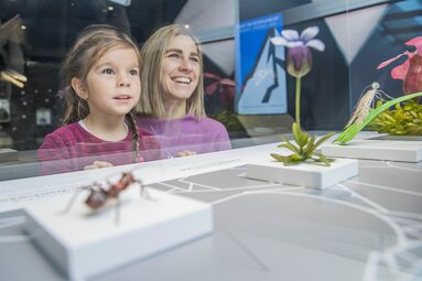 Mutter und Tochter bestaunen fasziniert eine Naturausstellung mit Insekten und Pflanzen. | © zangl.ultd-Franz Neumayr-Leo
