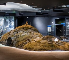 Alpen-Ausstellung mit Murmeltier-Diorama und Kletterwand im Hintergrund. | © zangl.ultd - Franz Neumayr - Leo