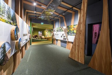 Holzgestalteter Ausstellungsgang mit Infotafeln über Natur und Wildtiere. | ©  zangl.ultd-Franz Neumayr-Leo 