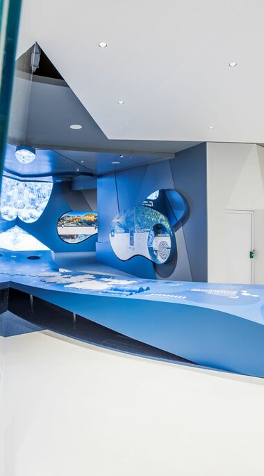Moderne, blaue Ausstellung zum Thema Wasser mit einem präparierten Tier im Vordergrund. | ©  zangl.ultd-Franz Neumayr-Leo 