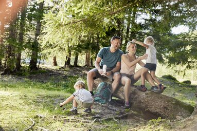 Familie macht eine Rast auf einem Baumstamm im Wald, Kinder spielen und genießen die Natur | © SalzburgLand Tourismus
