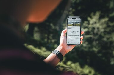 Person hält Smartphone mit Infos zum Nationalpark Hohe Tauern, im Hintergrund Natur. | © Ferienregion Nationalpark Hohe Tauern - Daniel Kogler