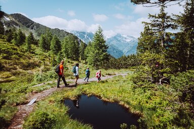 Familie wandert auf einem Pfad mit Blick auf die schneebedeckten Berge. | © SalzburgerLand Tourismus