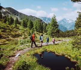 Familie wandert auf einem Pfad mit Blick auf die schneebedeckten Berge. | © SalzburgerLand Tourismus