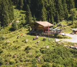 Luftaufnahme einer Alm mit einer traditionellen Berghütte und grasenden Kühen inmitten grüner Wälder. | © Ferienregion Nationalpark Hohe Tauern - Daniel Kogler
