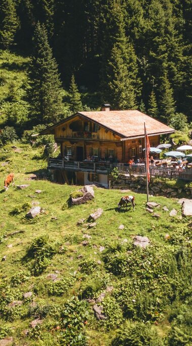 Luftaufnahme einer Alm mit einer traditionellen Berghütte und grasenden Kühen inmitten grüner Wälder. | © Ferienregion Nationalpark Hohe Tauern - Daniel Kogler