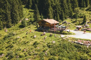 Luftaufnahme einer Alm mit einer traditionellen Berghütte und grasenden Kühen inmitten grüner Wälder. | © Ferienregion Nationalpark Hohe Tauern - Daniel Kogler
